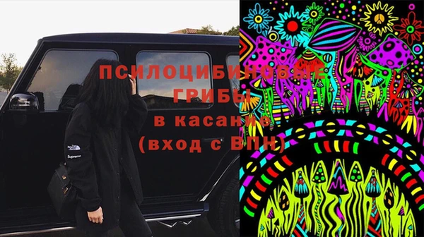дживик Краснослободск