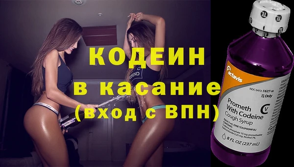 прущие грибы Костерёво