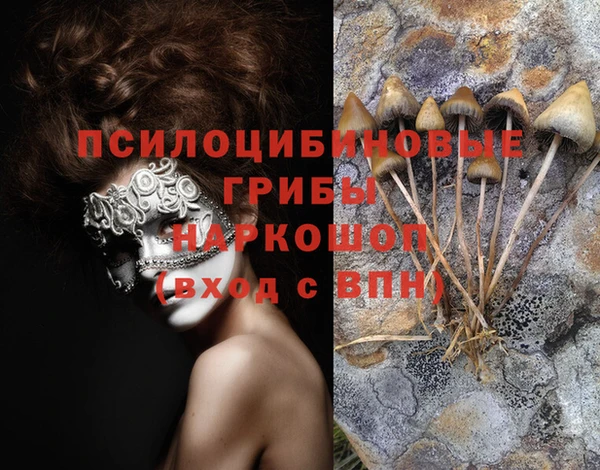 хмурый Коряжма