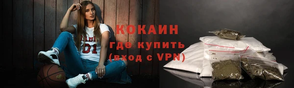 прущие грибы Костерёво