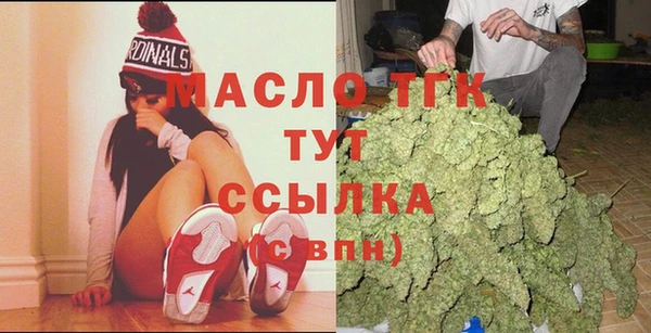 дживик Краснослободск