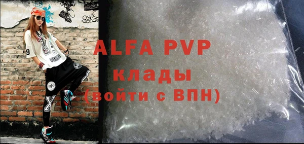 дживик Краснослободск