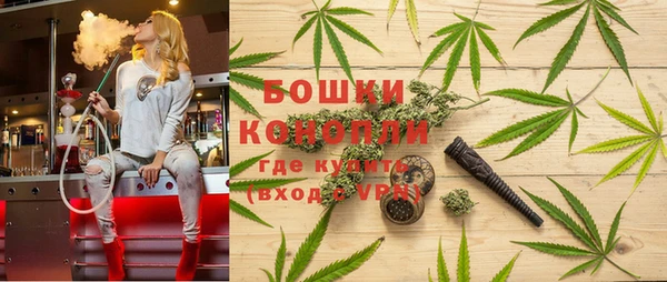 амф Корсаков