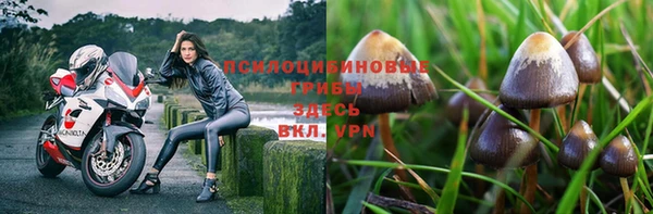 дживик Краснослободск