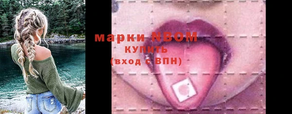 дживик Краснослободск