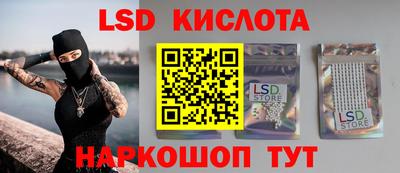 амф Гусев