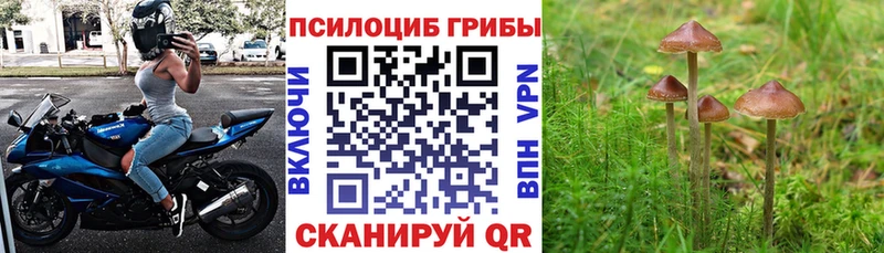 Псилоцибиновые грибы мицелий  Лосино-Петровский 