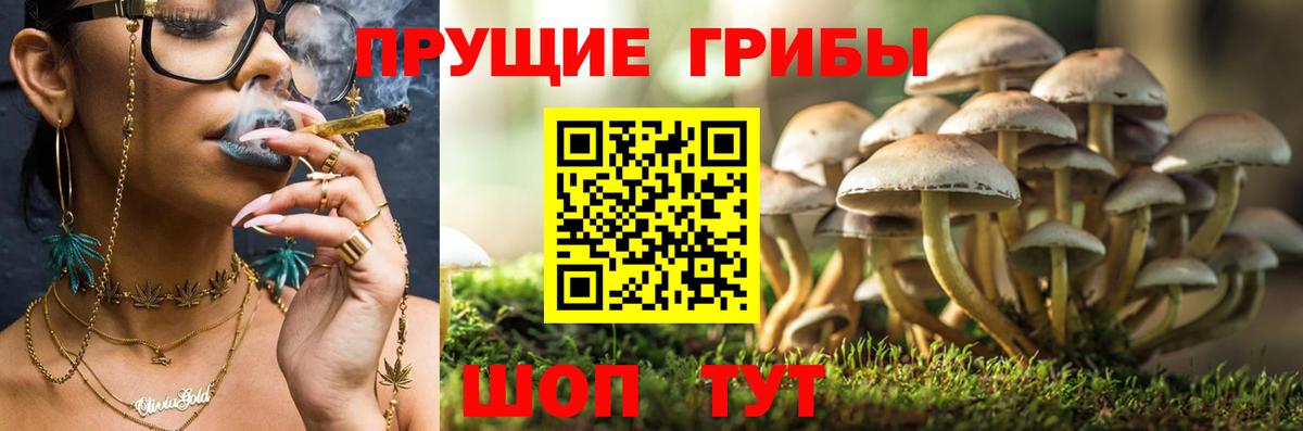 Псилоцибиновые грибы Magic Shrooms  Вход с VPN  Лосино-Петровский  Псилоцибиновые грибы прущие грибы 